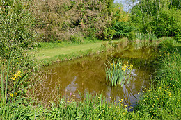 Etang des fontenils