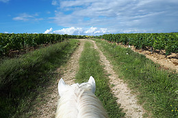 A Cheval dans l'Yonne