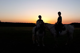 A Cheval dans l'Yonne