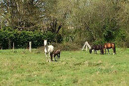 Centre Equestre de Bressuire
