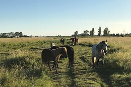 Centre Equestre de Bressuire