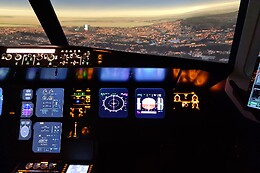 Zim Air Simulation