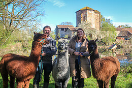 La Petite Ferme d'Alpagas Sanzay