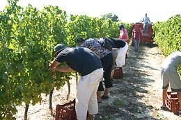 Domaine de Montels