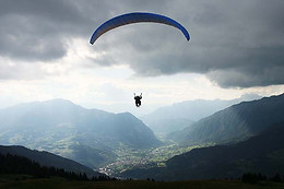 Les Volatiles