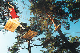 Saint Nectaire Aventure