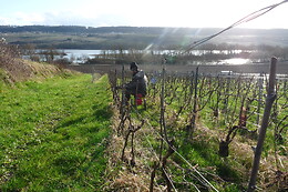 Champagne Rédempteur