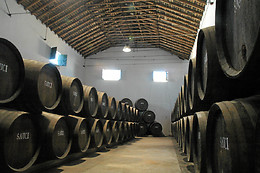 BODEGAS SAUCI