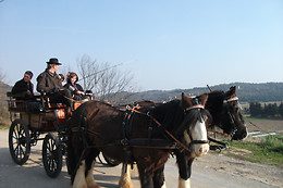 Poney Express Attelage