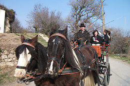 Poney Express Attelage