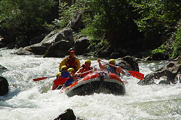 Crazy Raft