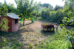 Les Vignes