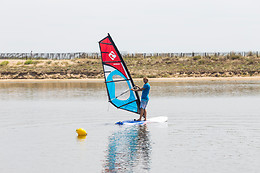 Wave School