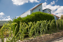 A la Maison Bleue (68)
