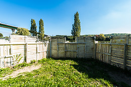 Paradise Paintball