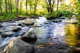 Les Rives de lArzon