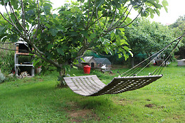 BIOSURF CAMP