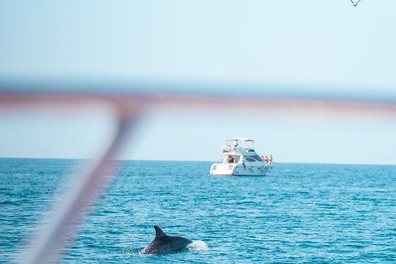 FUENGIROLA SEA TRIPS - photo 21