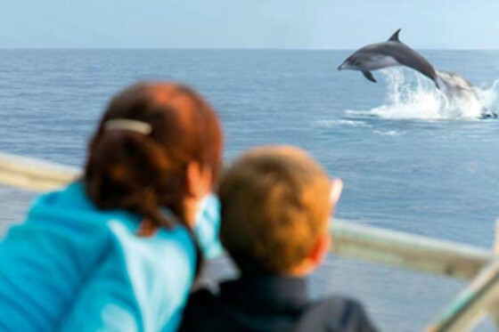 FUENGIROLA SEA TRIPS - photo 22