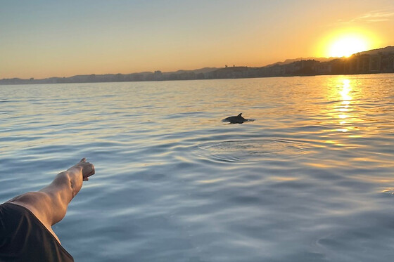 FUENGIROLA SEA TRIPS - photo 23