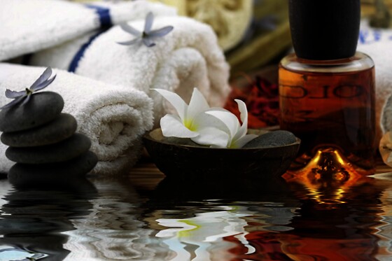 Aux parfums d'Elodie - photo 0
