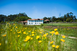 CASA MINDELA