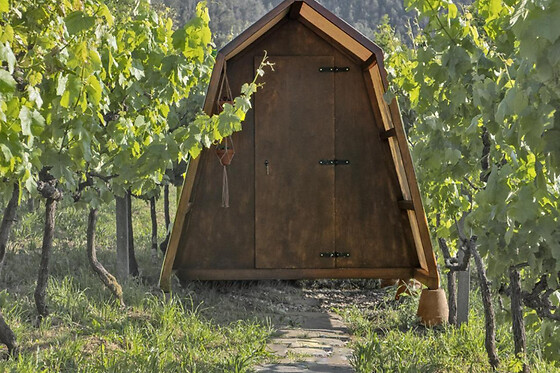 CIMO DA VINHA Nature Spot - photo 5