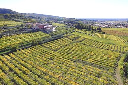 Cantina Fratelli Vogadori