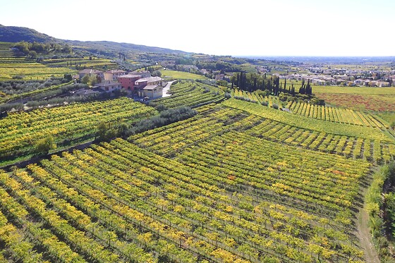 Cantina Fratelli Vogadori - photo 4