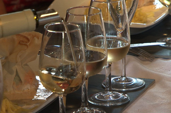 Domaine du Vieil Orme - photo 9