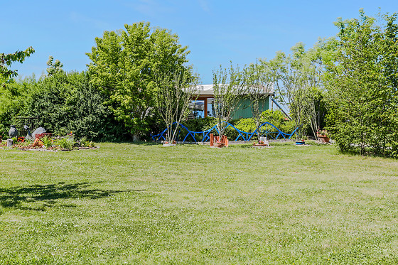 Le Petit Flo - photo 2