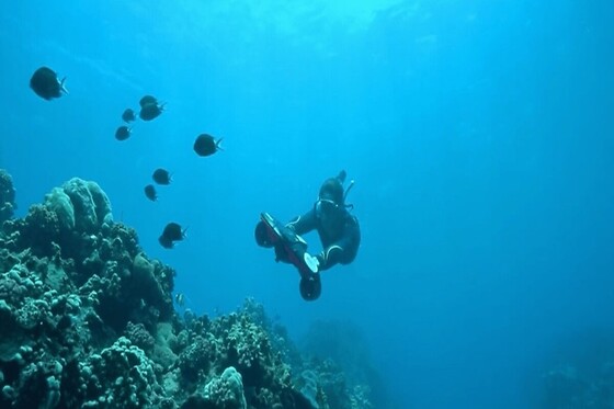 InfiniBlue - photo 5