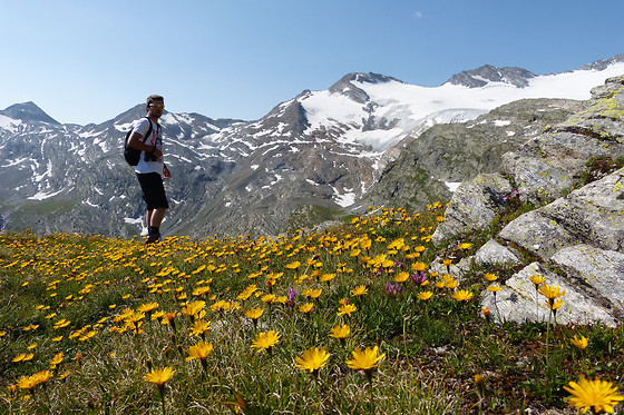 Hotel Kristall-Saphir Saas*** - photo 12