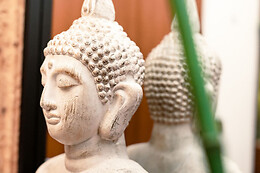 MANDALA WELLNESS