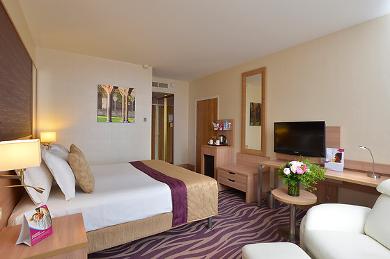 PLAZA HOTEL CAPITOLE TOULOUSE - photo 2