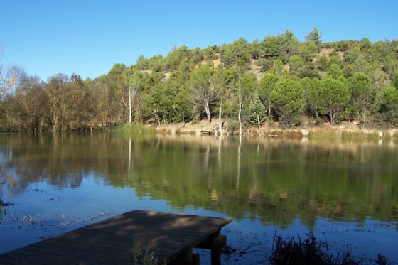EL RINCON DEL LABRADOR - photo 10
