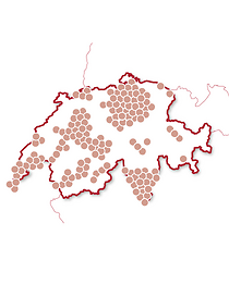 Svizzera irresistibile