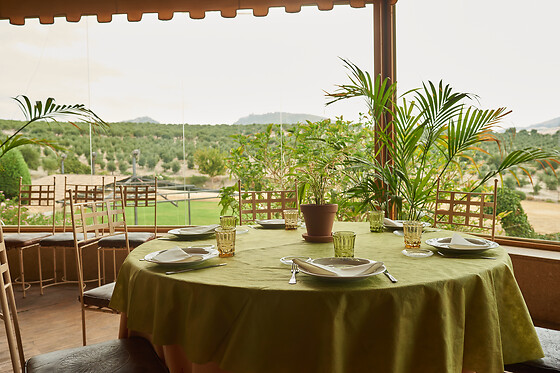 HACIENDA EL ROSALEJO - photo 5