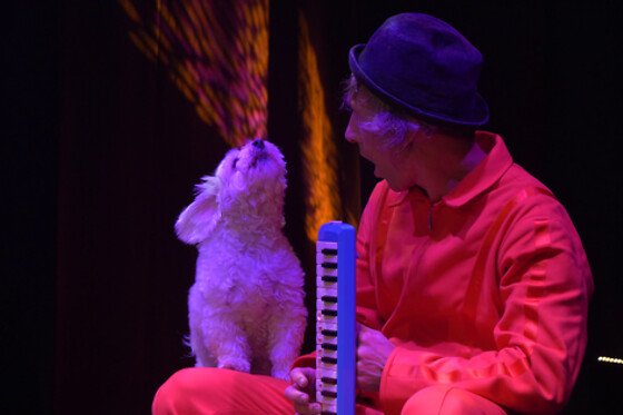 Little Cabaret - photo 7