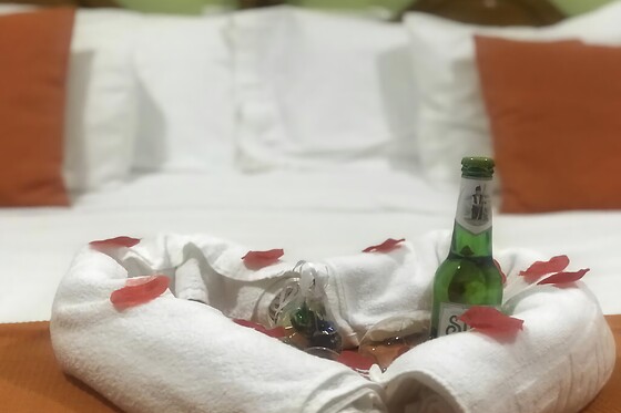 HOTEL ARGOS MURCIA - photo 19