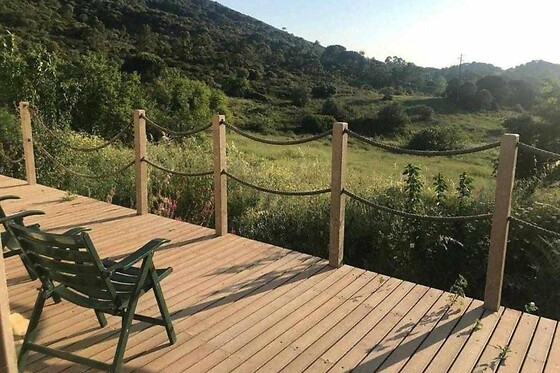 Biovilla - photo 2