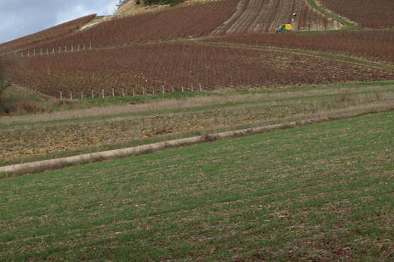 Champagne Perron-Beauvineau - photo 5