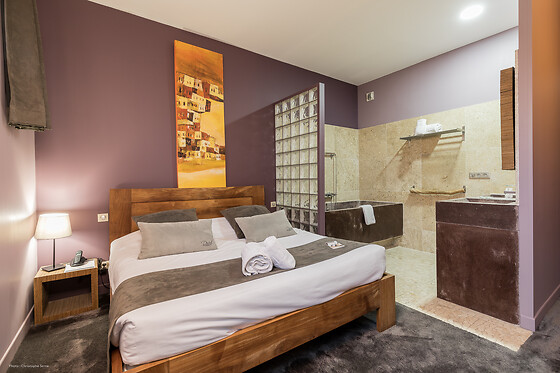 Disini Luxury Hotel - photo 7