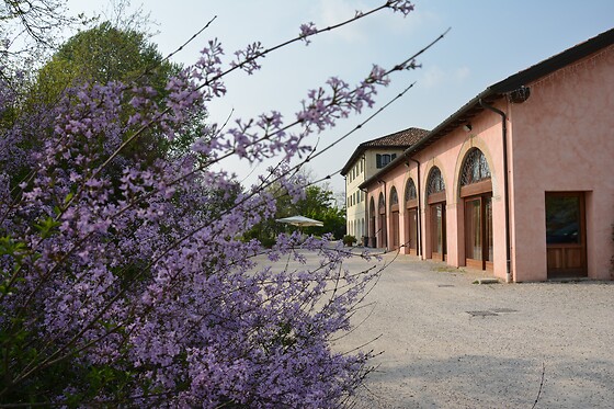Agriturismo Rechsteiner - photo 2