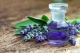 Harmonie Bio'té