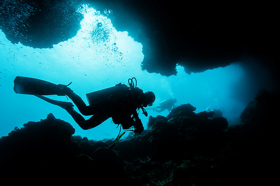 OPEN WATERS - photo 3