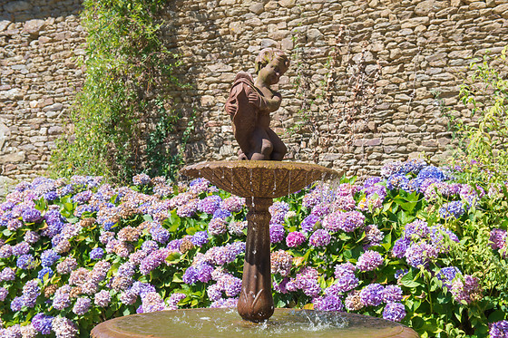 Manoir Desnachez - photo 13