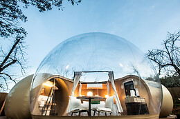 HORIZONTE BUBBLE