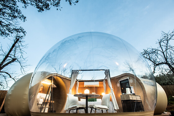 HORIZONTE BUBBLE - photo 2