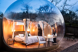 HORIZONTE BUBBLE
